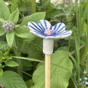 blaue Streifen, rosa Mitte mit roten Punkten